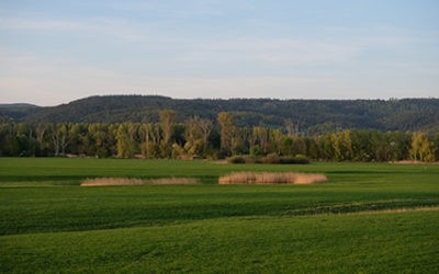 Geistlicher Impuls für den Monat März