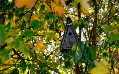 Geistlicher Impuls für den Monat Oktober