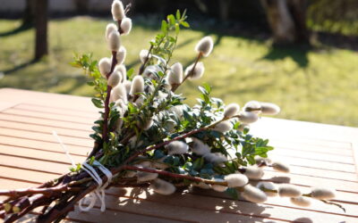 Geistlicher Impuls für den Monat März