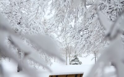 Geistlicher Impuls für den Monat Dezember