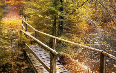 Geistlicher Impuls für November 2025