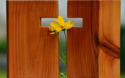 Geistlicher Impuls für April 2026